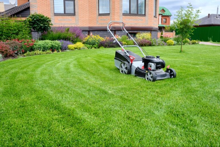 A Lawn Mower That Keeps Your Yard Looking Great
